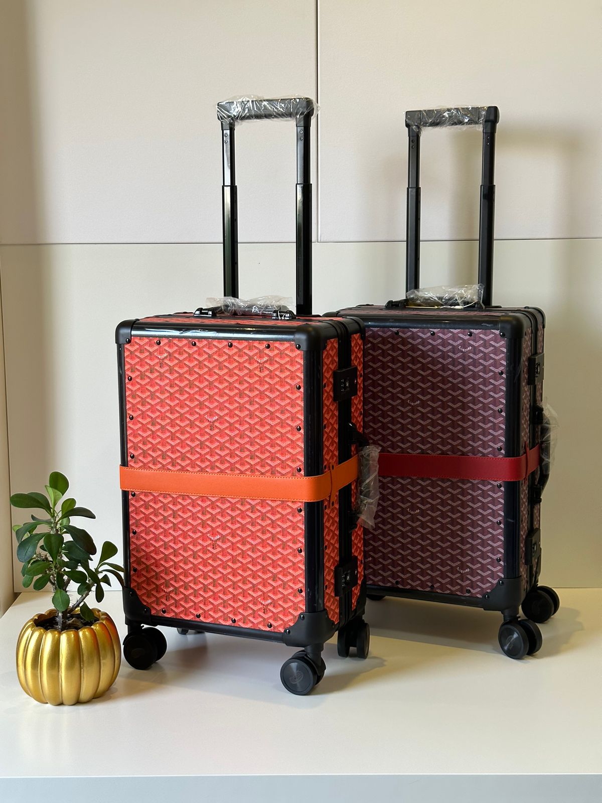 Goyard trolley Cabin size